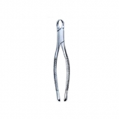 Extracting Forceps American Pattern